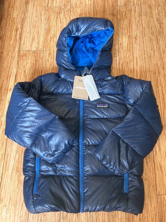 Patagonia Other - Patagonia Baby Hi-Loft Down Sweater Hoody